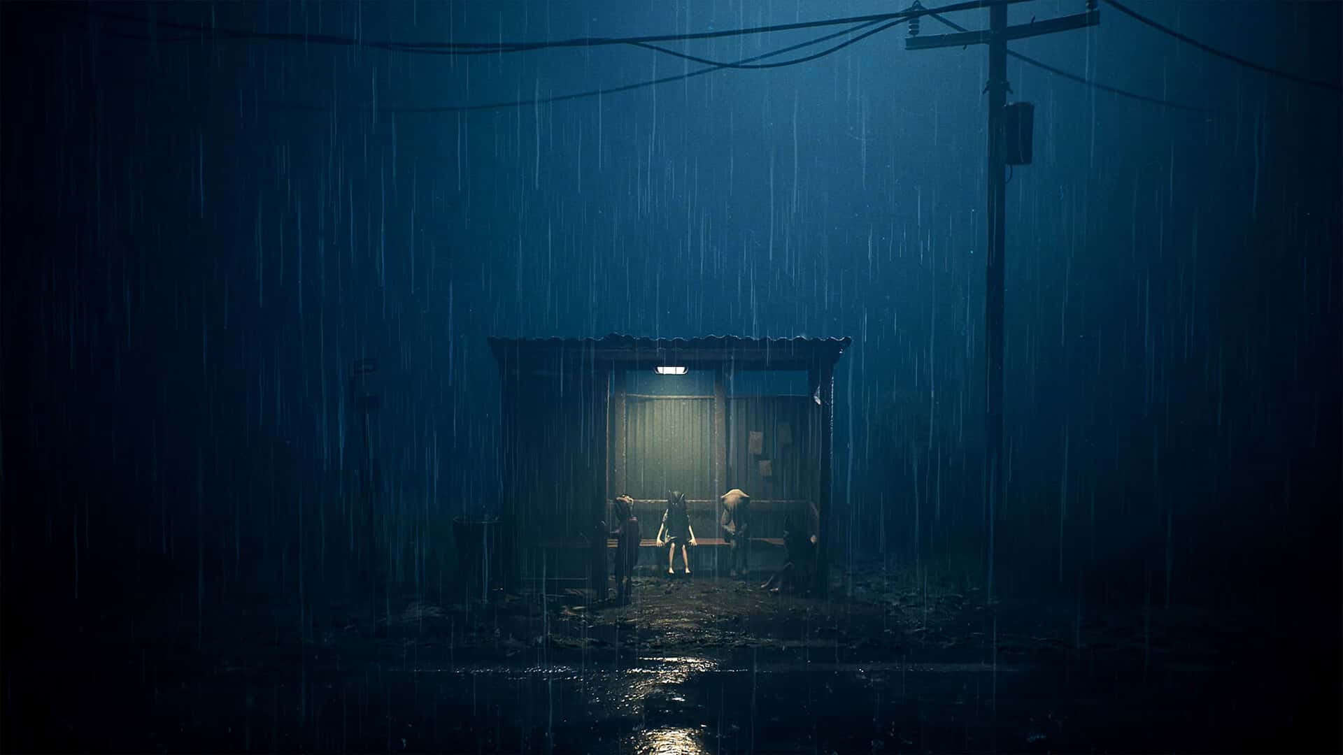 生灵重塑 REANIMAL 中文版背景